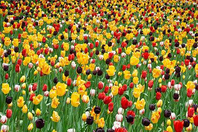 外媒爆料称《辐射76》开发时间紧张 管理不善